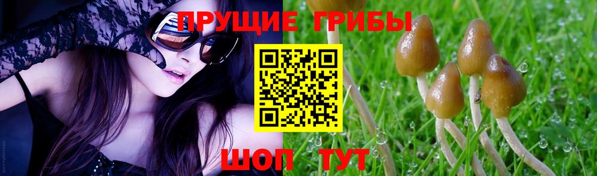 Псилоцибиновые грибы мицелий  Вход с VPN  цена наркотик  Волжск 